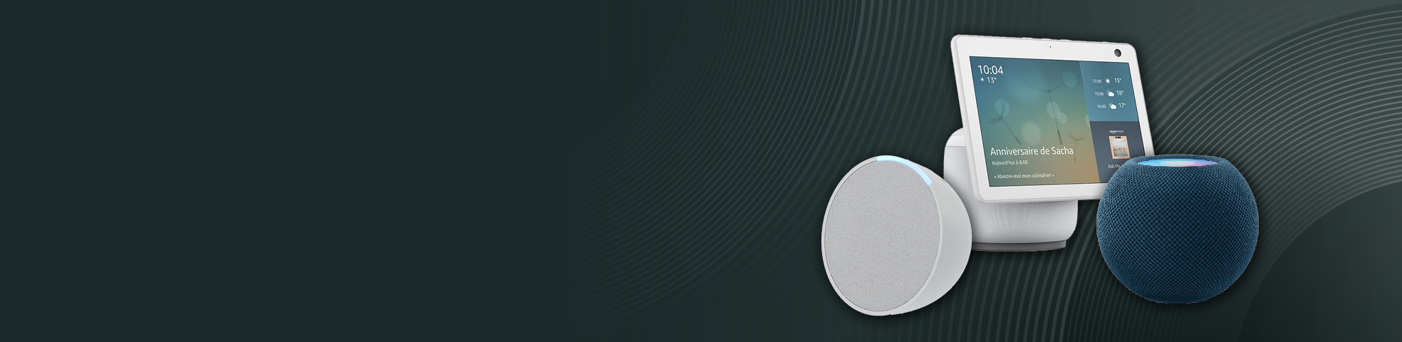 Voice assistants